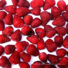 Organische Erdbeere von gefrorenen Früchten
